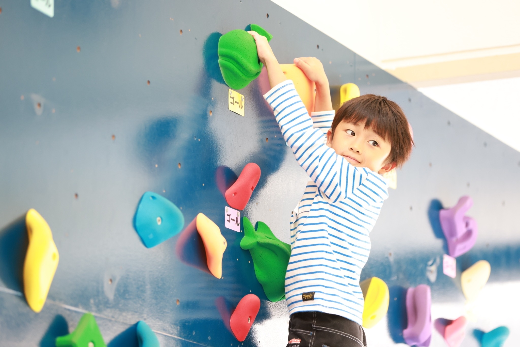 保育施設や子どもに関わる人などに向けて