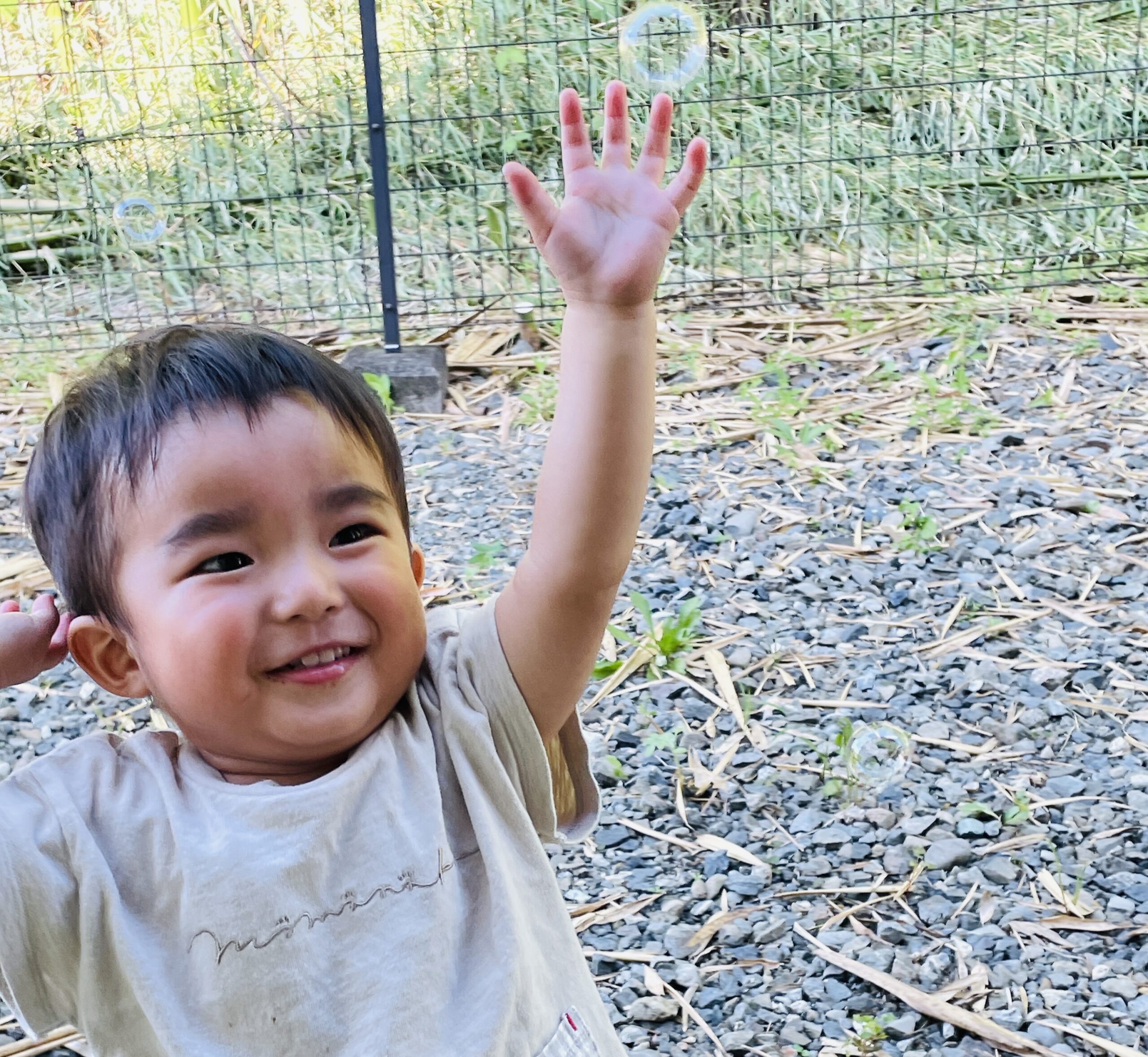 メインビジュアル１