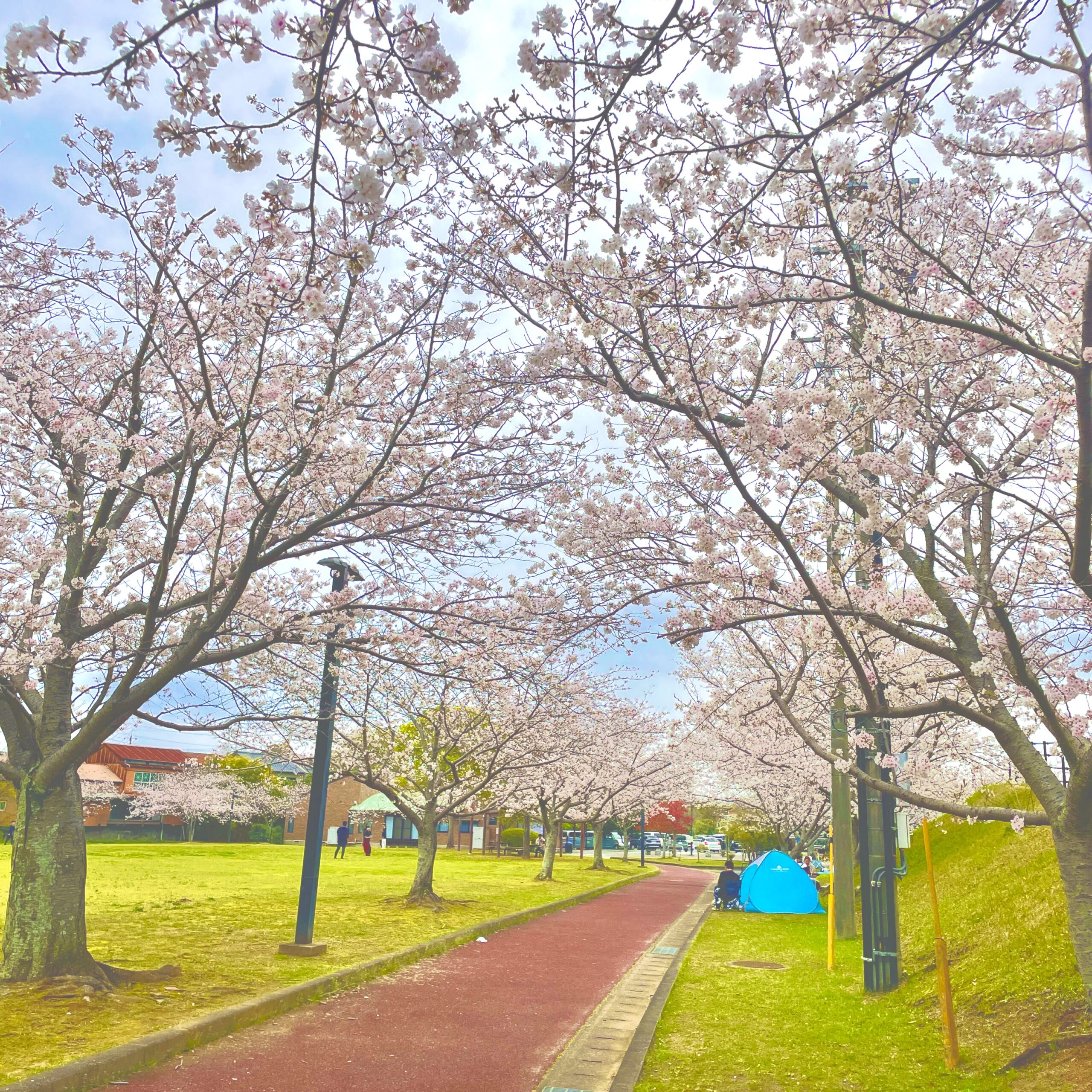 地域の取り組み